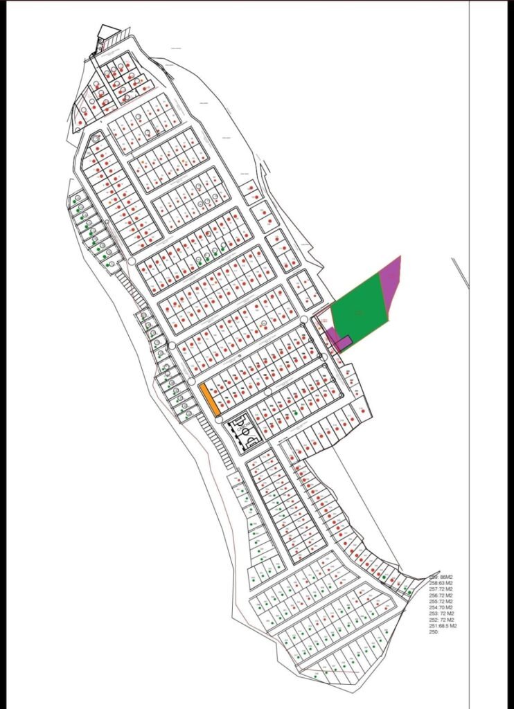 whatsapp image 2026 03 24 at 11.35.04 am